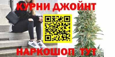 гидропоника Тверь