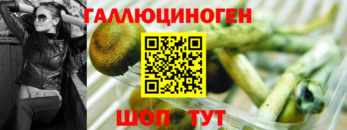 Галлюциногенные грибы Magic Shrooms Волжск