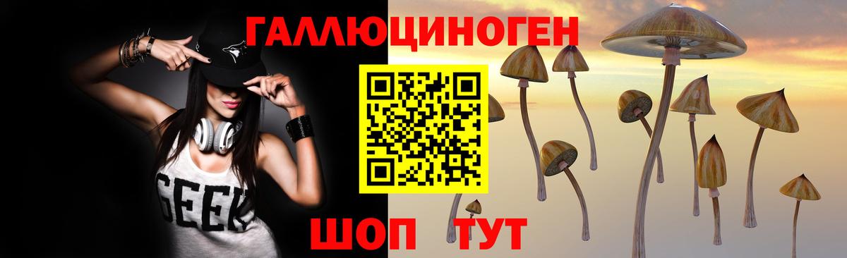 Галлюциногенные грибы Cubensis  Вход с VPN  Волжск  Галлюциногенные грибы GOLDEN TEACHER 